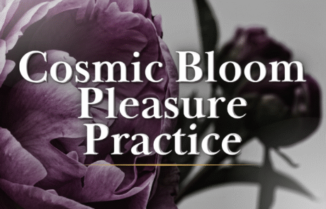 Cosmic Bloom Pleasure Practice - Sensual Embodiment Collective with Jannine MacKinnon